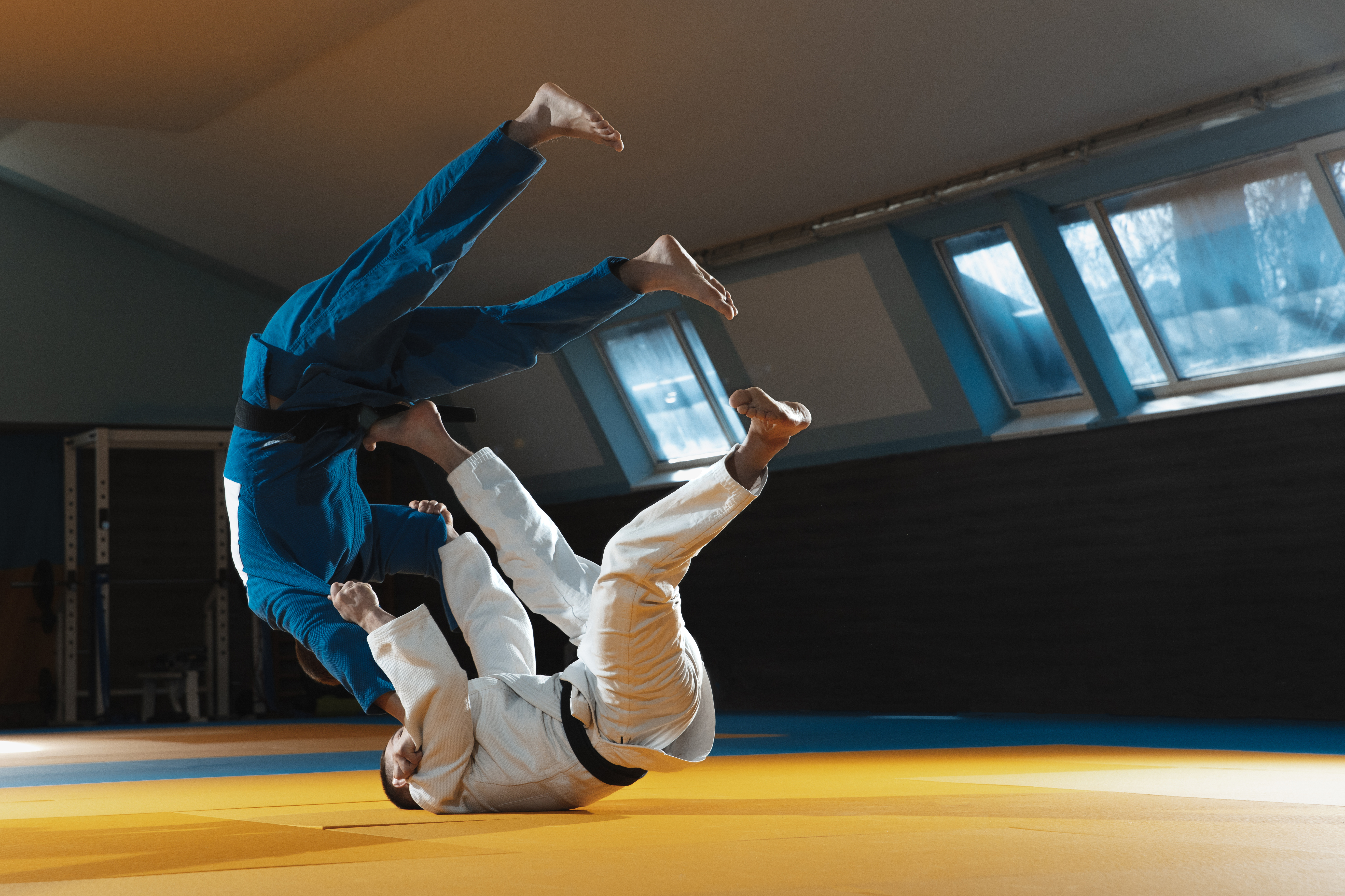 USA Judo preview image