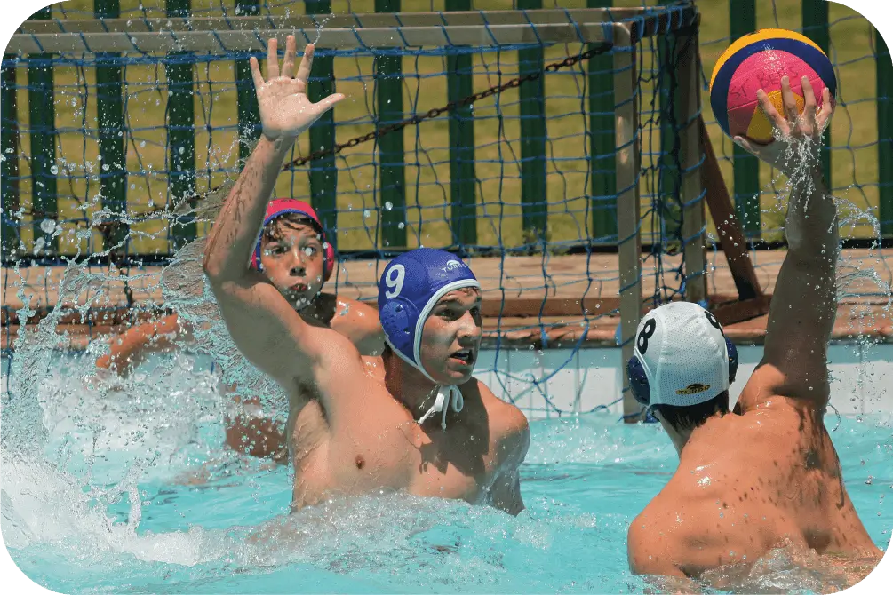 USA Water Polo preview image