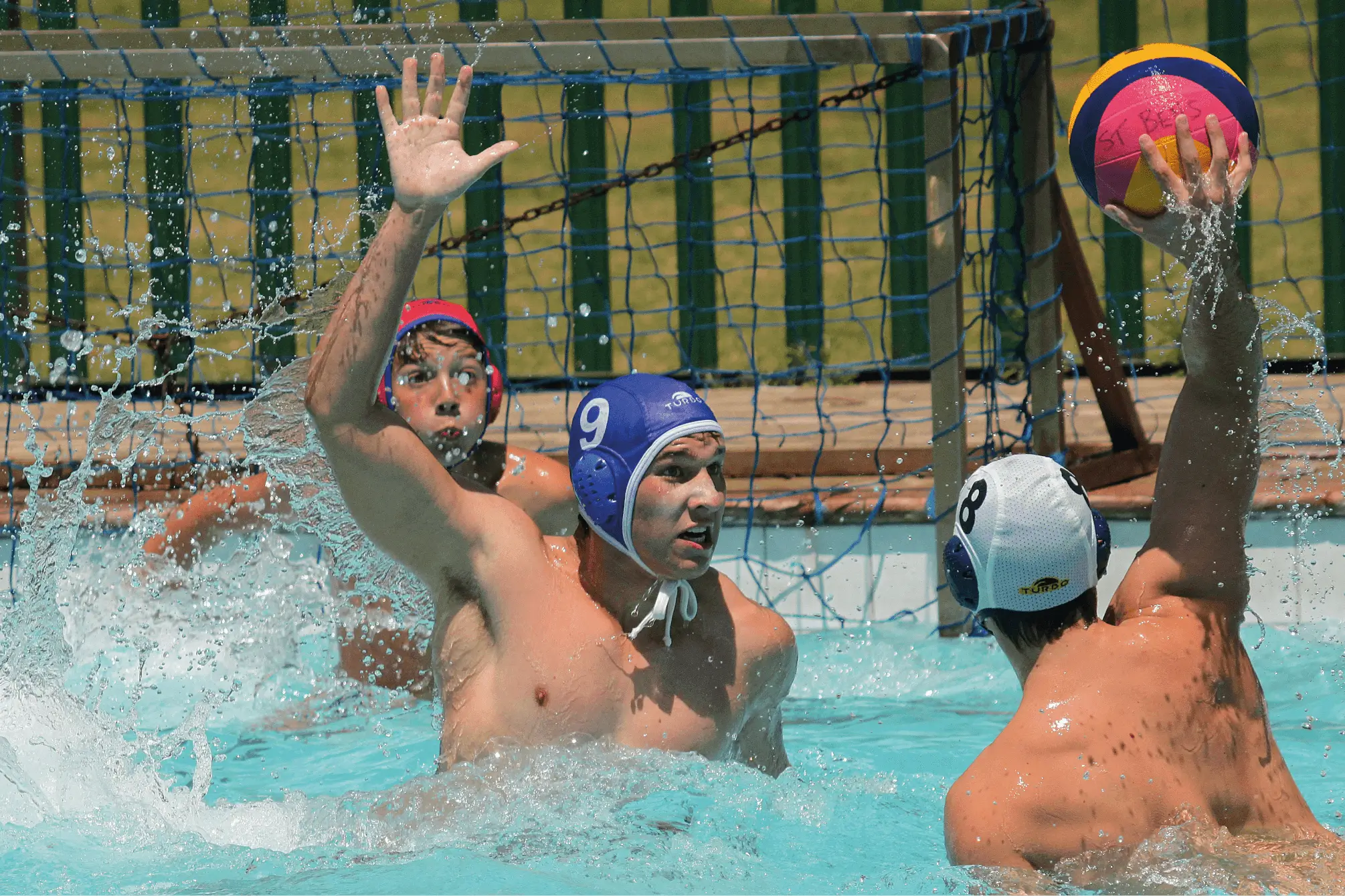 USA Water Polo revolutionise member experience with Sport:80 partnership